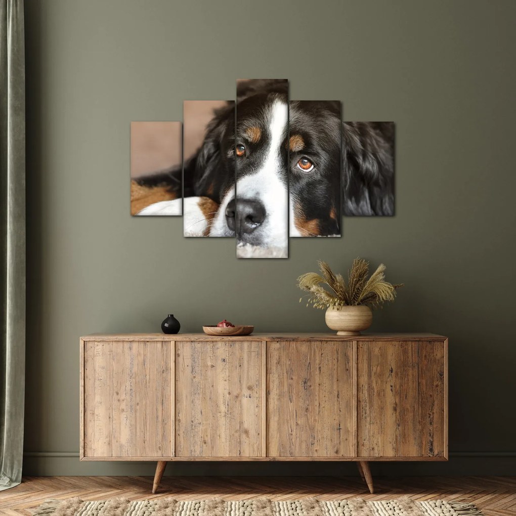 Tablou cu câine (150x105 cm)