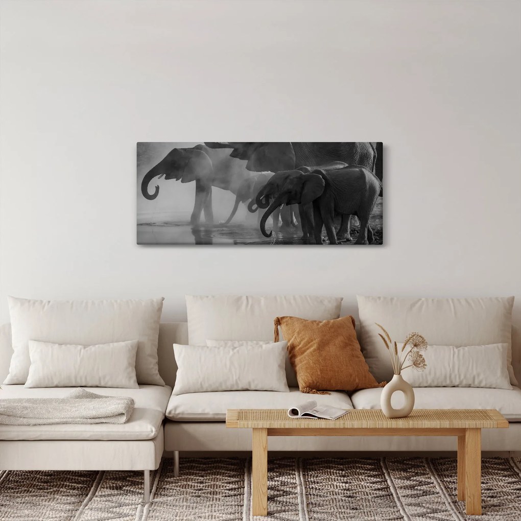 Tablou cu elefanți - albnegru (120x50 cm)