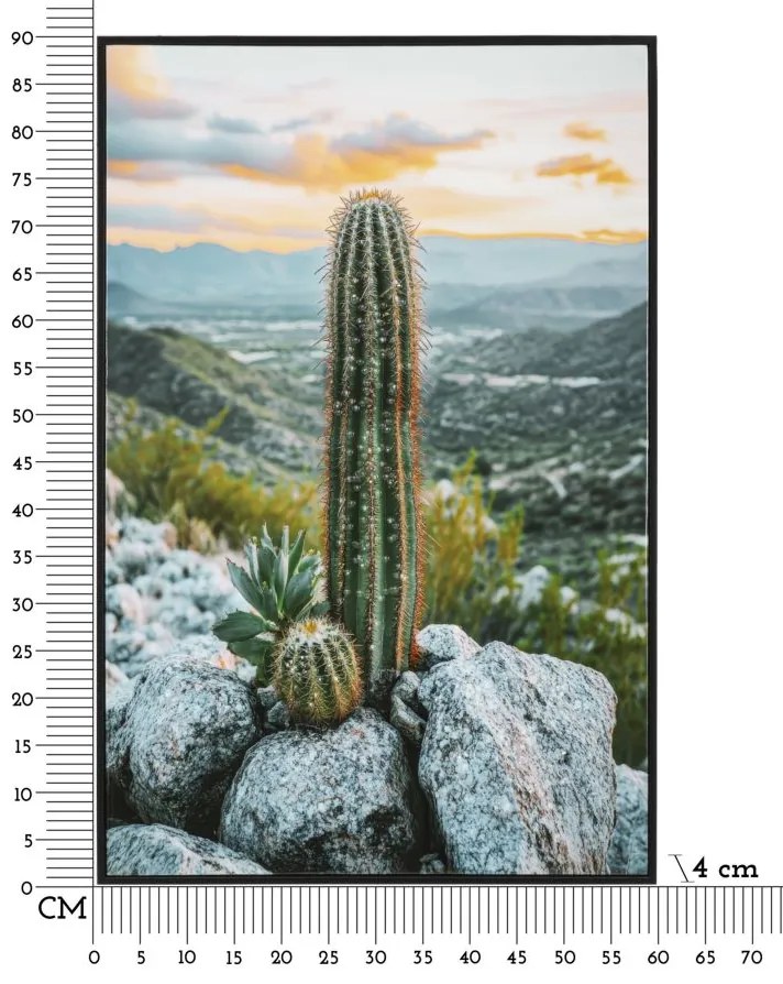 Mauro Ferretti Pictura Pe Panza, Cu Rama, Cactus -A- Cm 60X4X88 | Aosom Romania