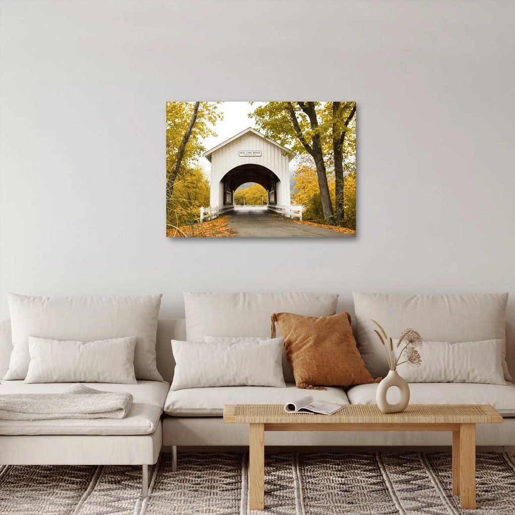 Tablou cu podul în Oregon (70x50 cm)