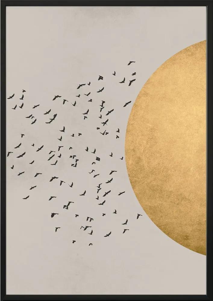 Poster cu ramă pentru perete BIRDS/SILHOUTTE, 50 x 70 cm
