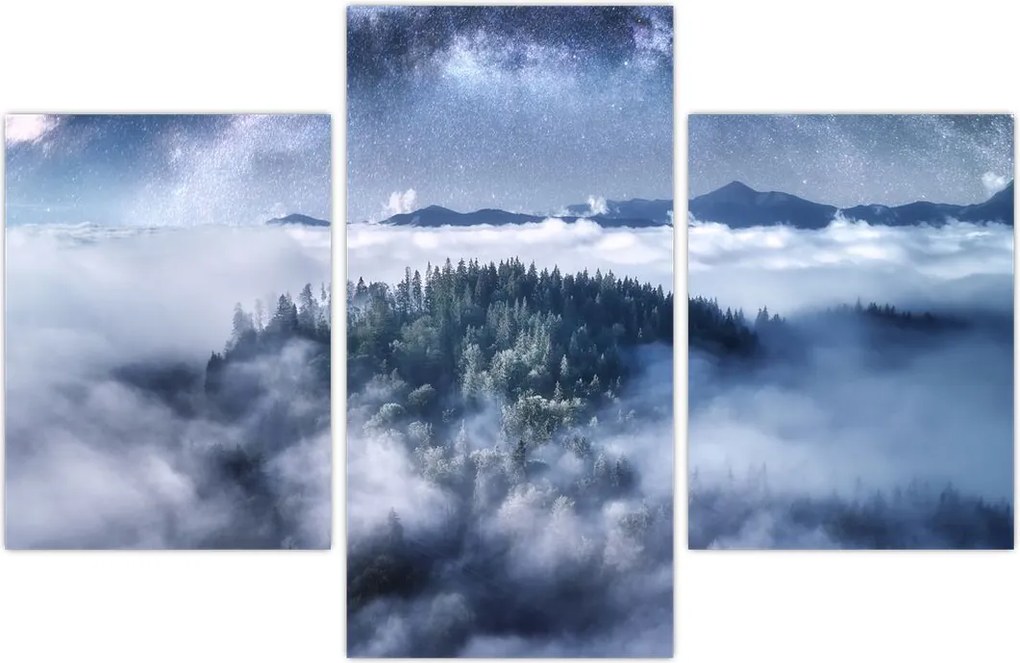 Tablou pădurii în ceață (90x60 cm)