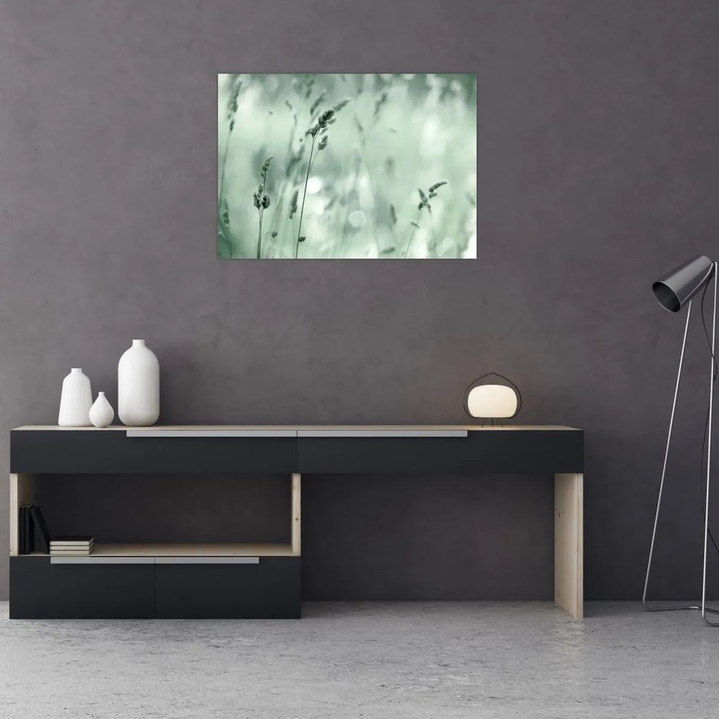 Tablou - Pajiște verde (70x50 cm)