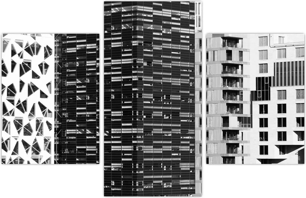 Tablou cu arhitectura alb neagră (90x60 cm)