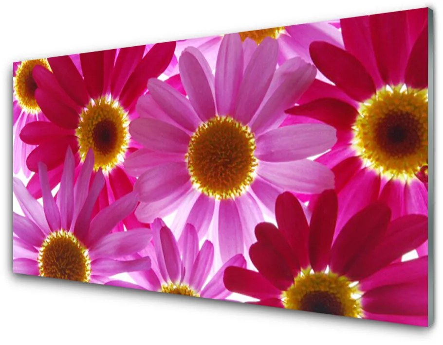 Tablou pe sticla acrilica Flori Floral galben roz
