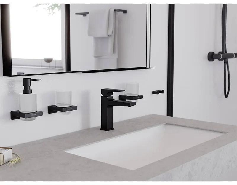 Cuier dublu, Hansgrohe, AddStoris, negru mat