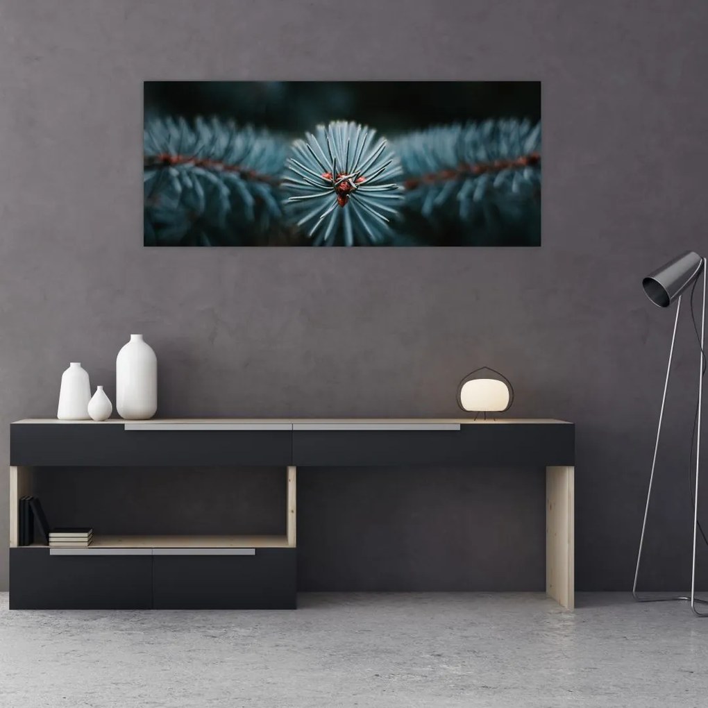 Tablou -Crenguțe ale unui conifer (120x50 cm)