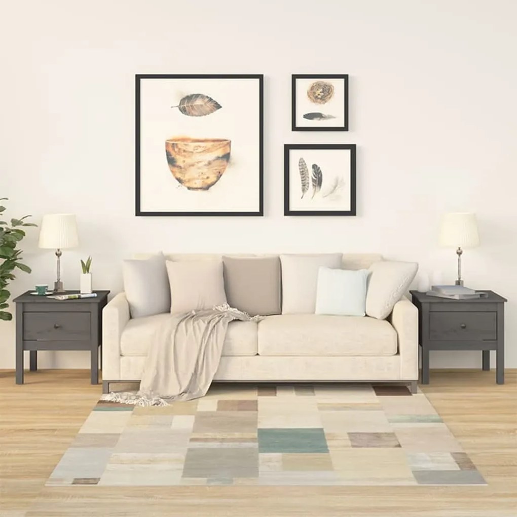 813799 vidaXL Mese laterale, 2 buc., gri, 50x50x49 cm, lemn masiv de pin