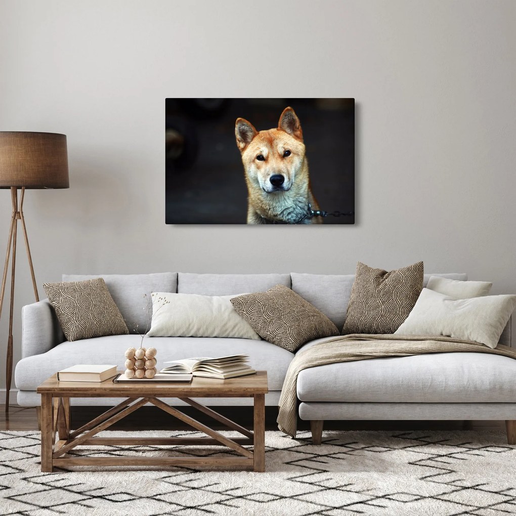 Tablou cu câine (90x60 cm)