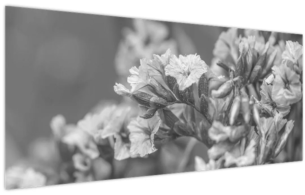 Tablou - Flori uscate (120x50 cm)