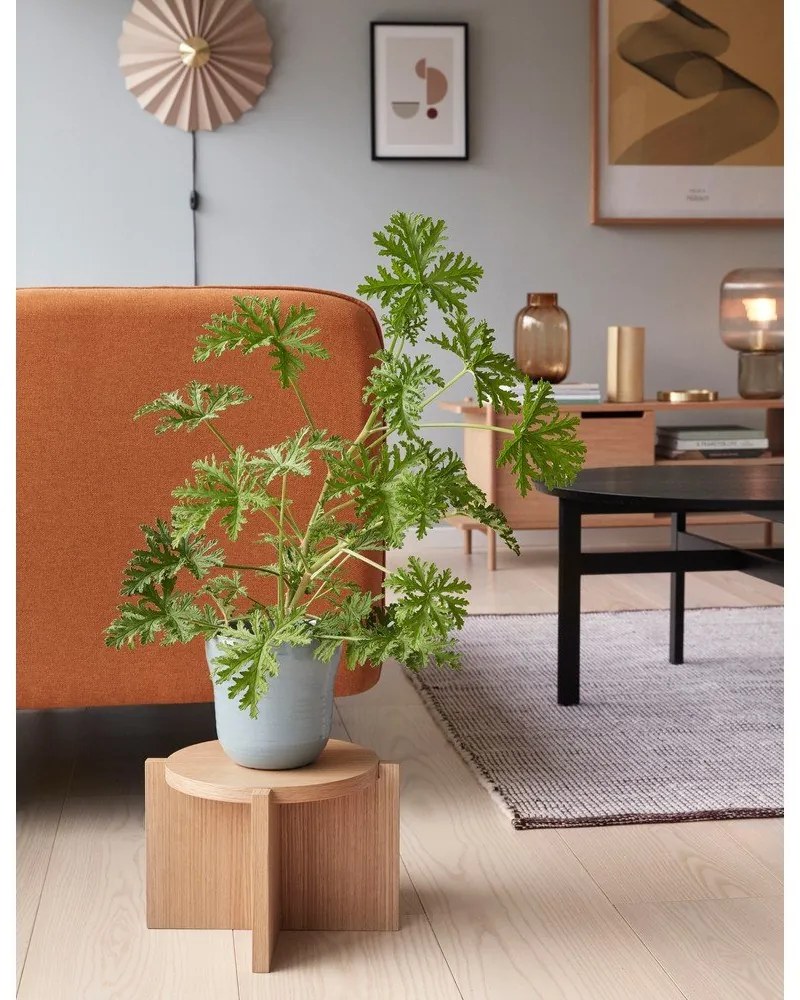 Set 2 ghivece din ceramică Hübsch Tina, albastru