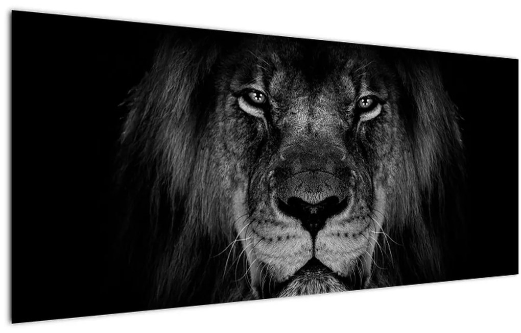 Tablou - Leu majestic (120x50 cm)