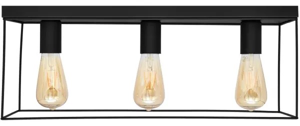 Plafonieră FINN 3xE27/15W/230V negru