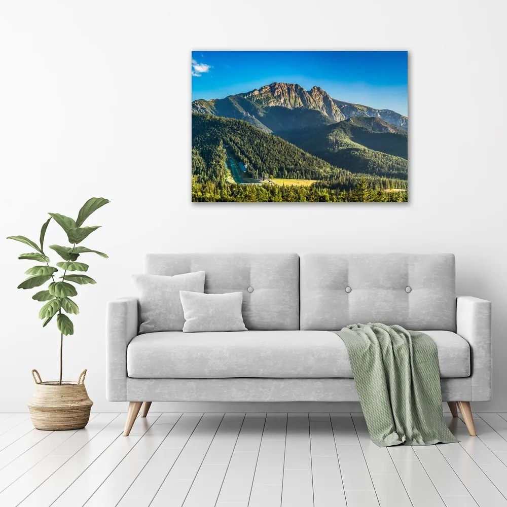 Tablou pe pânză Panorama tatra