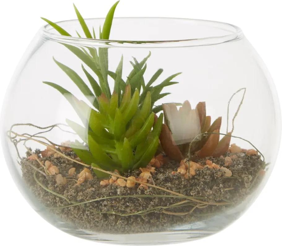 Plantă suculentă artificială în ghiveci din sticlă Premier Housewares Fiori