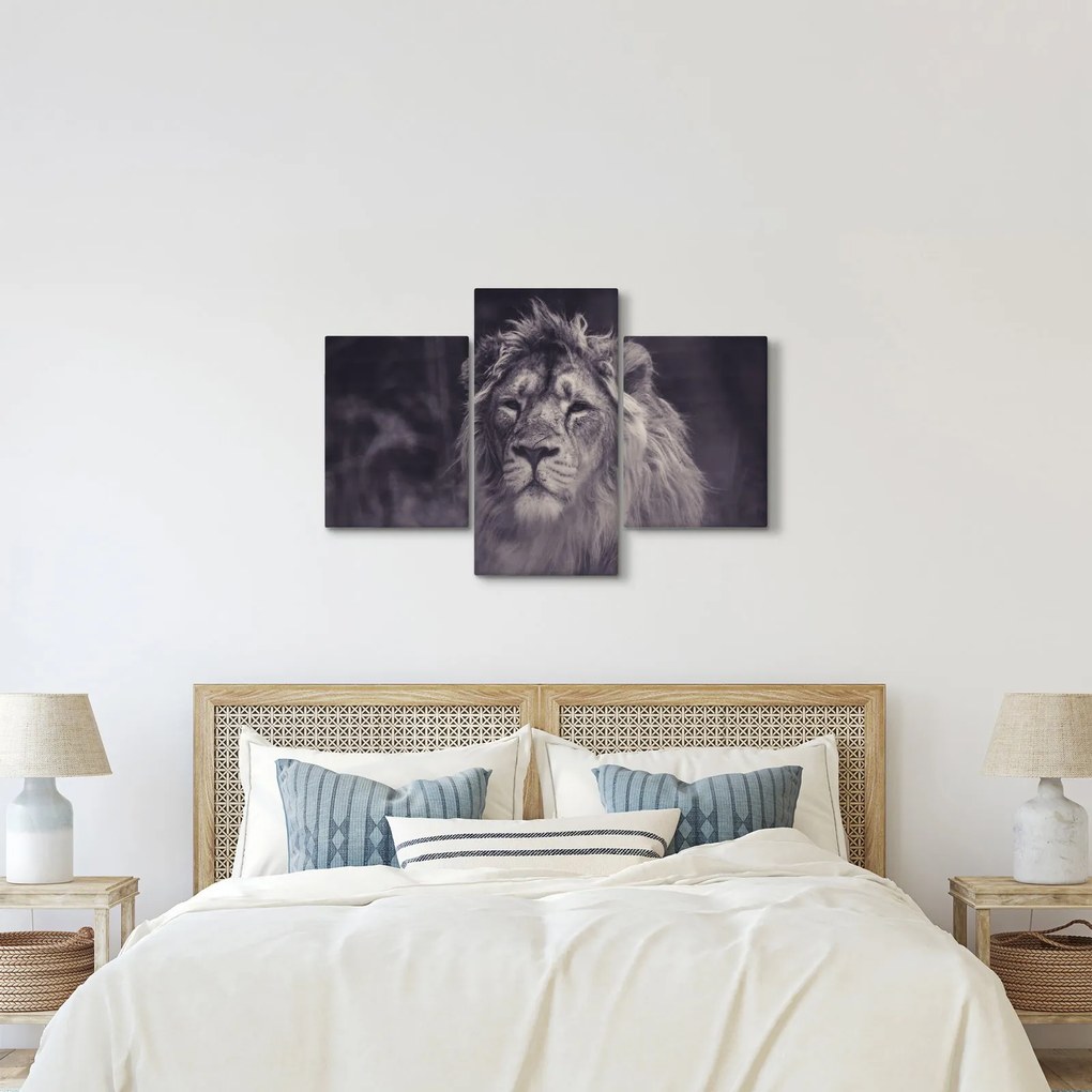 Tablou cu leu (90x60 cm)
