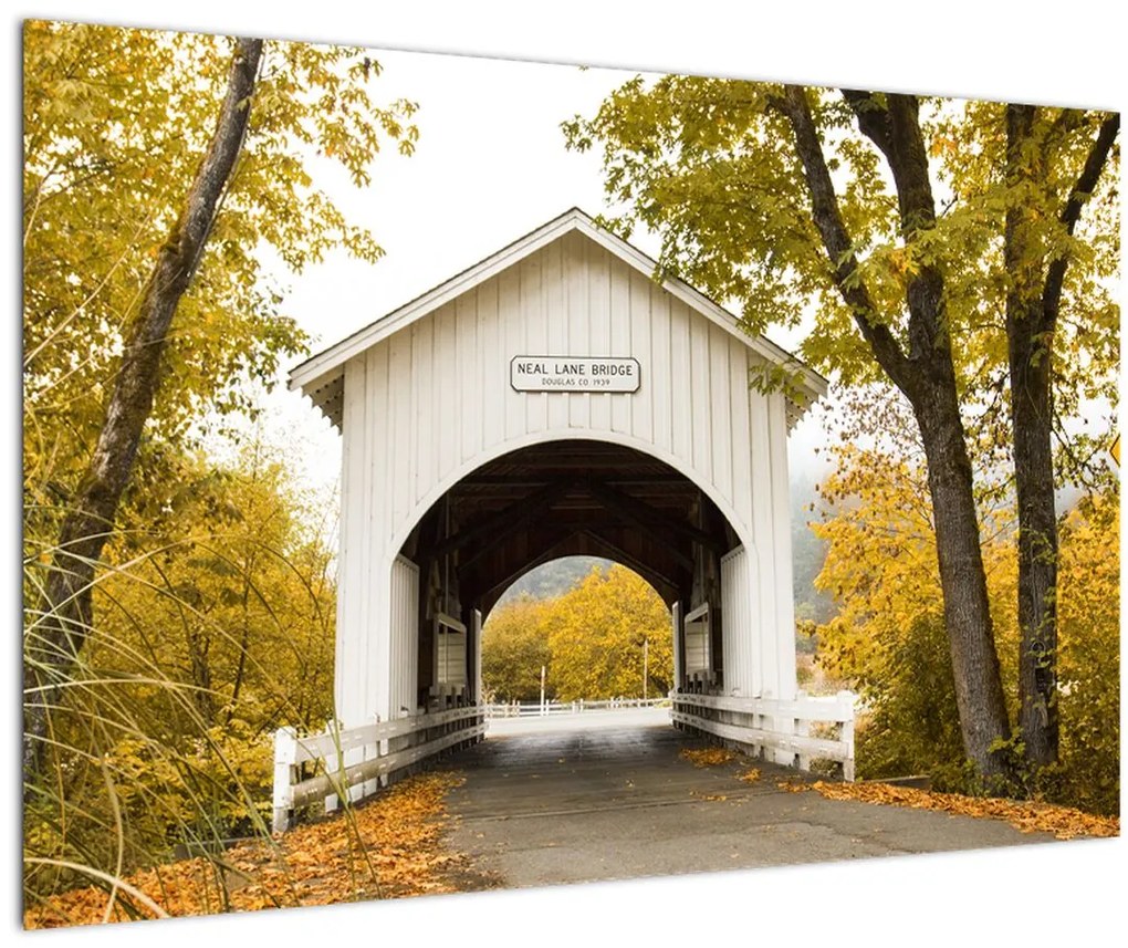 Tablou cu podul în Oregon (90x60 cm)