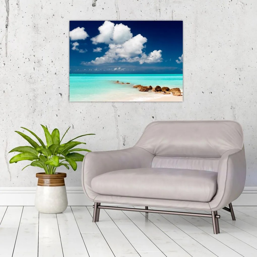 Tablou cu mare (70x50 cm)