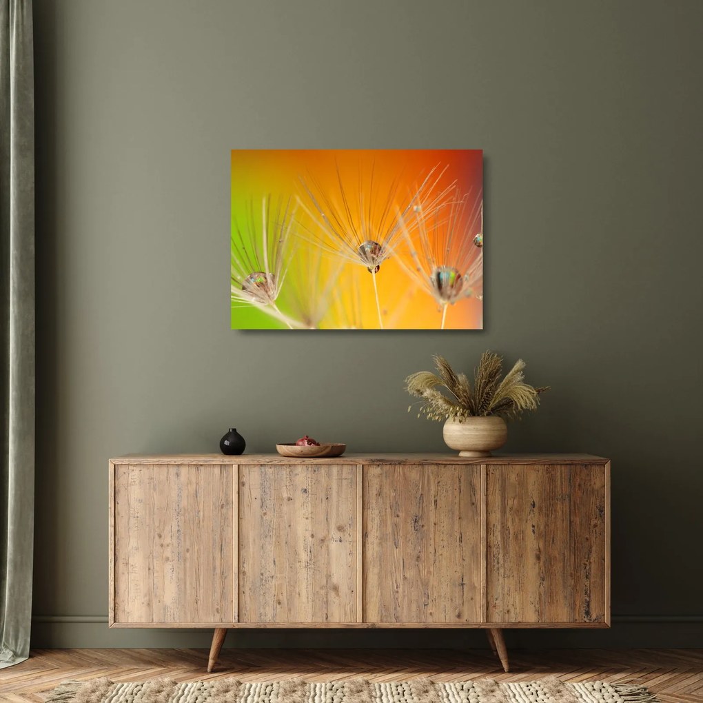 Tablou pe sticlă cu picături pe plantă (70x50 cm)