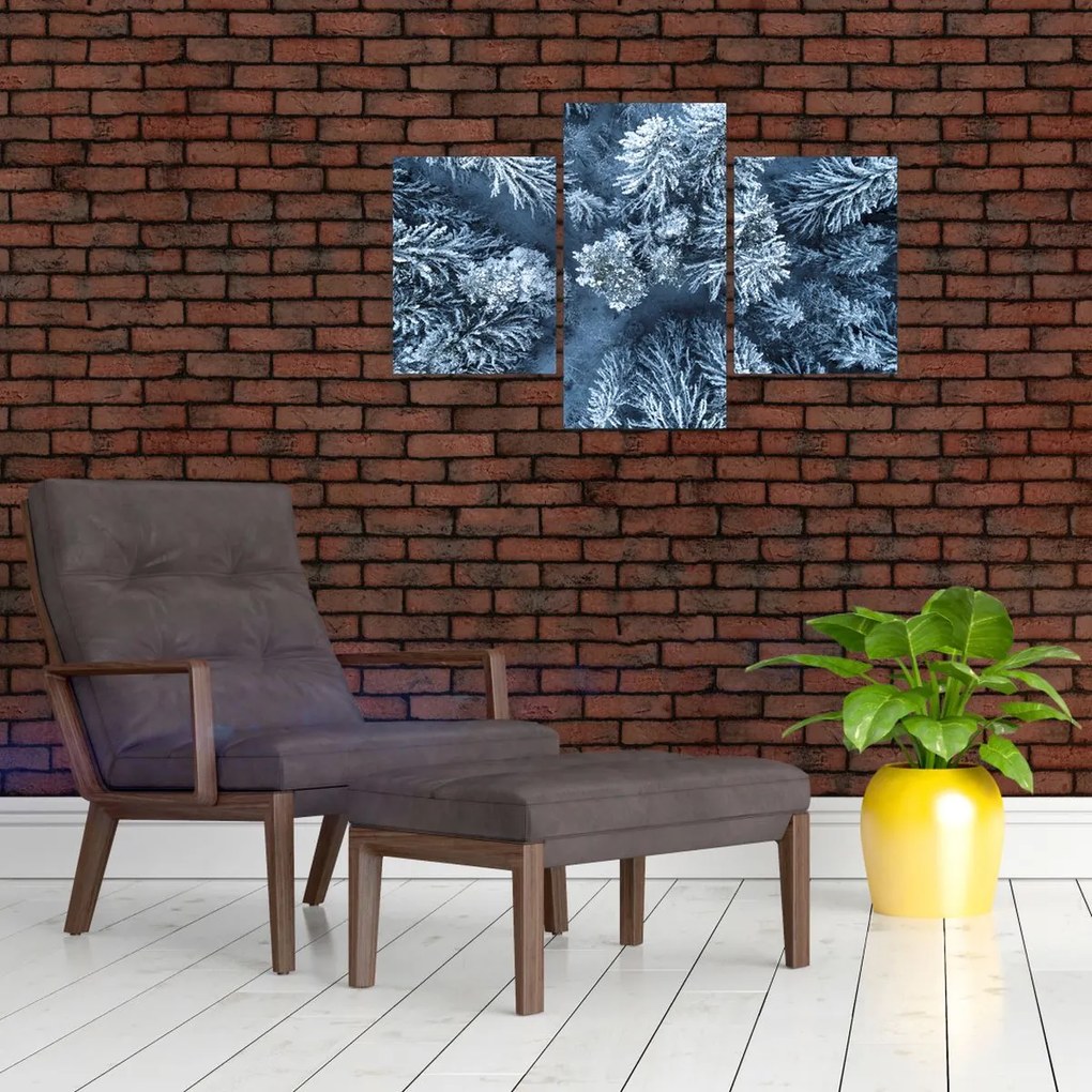 Tablou - Pădure înzăpezită (90x60 cm)