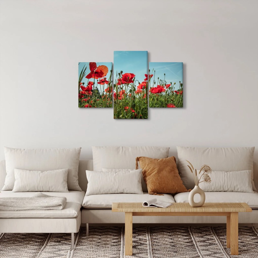 Tablou - Pe câmpul cu maci (90x60 cm)