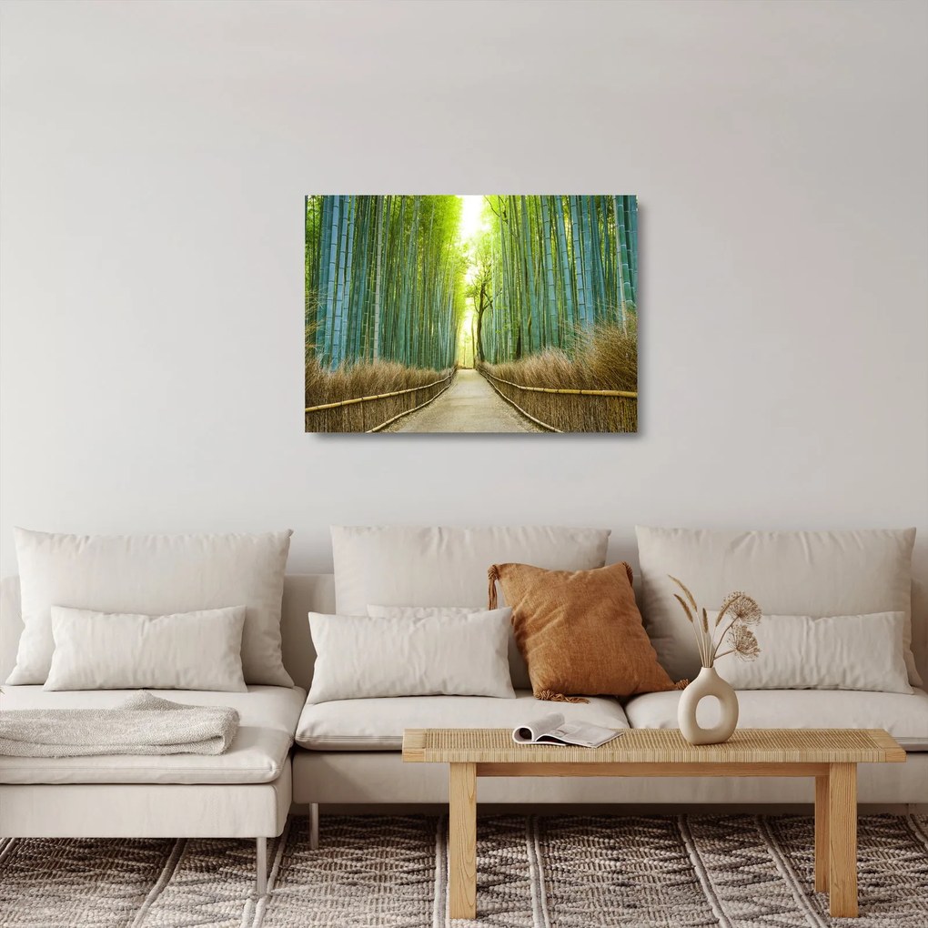 Tablou pe sticlă - Pădure de bambus (70x50 cm)