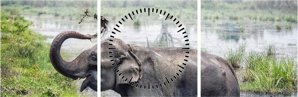 Tablou - Elefant de scăldat (cu ceas) (90x30 cm)