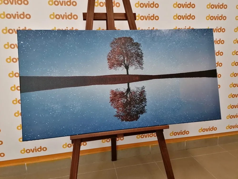Tablou cer înstelat deasupra unui copac singuratic