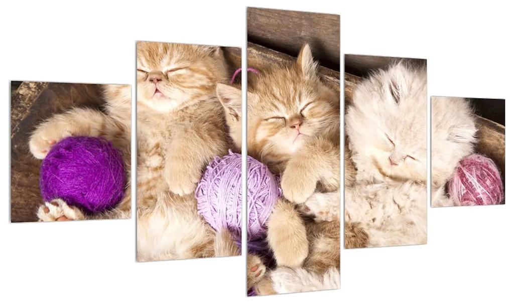 Tablou cu pisicuțe dormind (125x70 cm), în 40 de alte dimensiuni noi