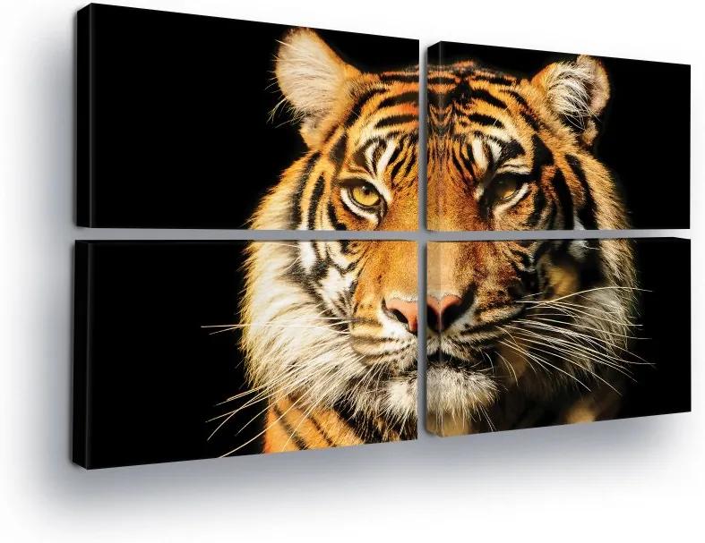 GLIX Tablou - Tiger View 4 x 60x40 cm