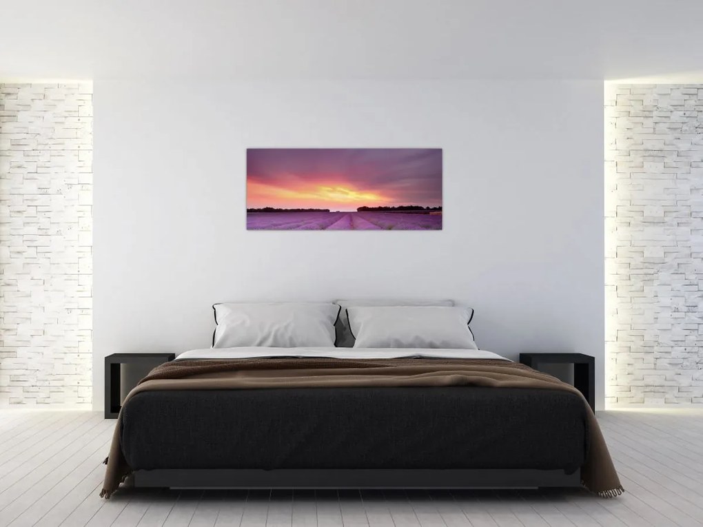 Tablou - Câmp de lavandă (120x50 cm)