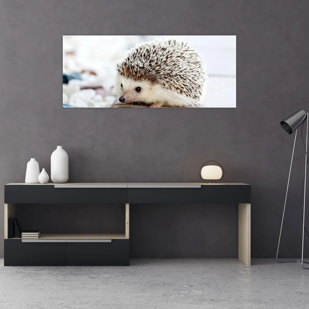 Tablou cu arici (120x50 cm)