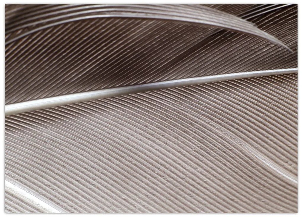 Tablou pe sticlă cu fibre abstacte (70x50 cm)