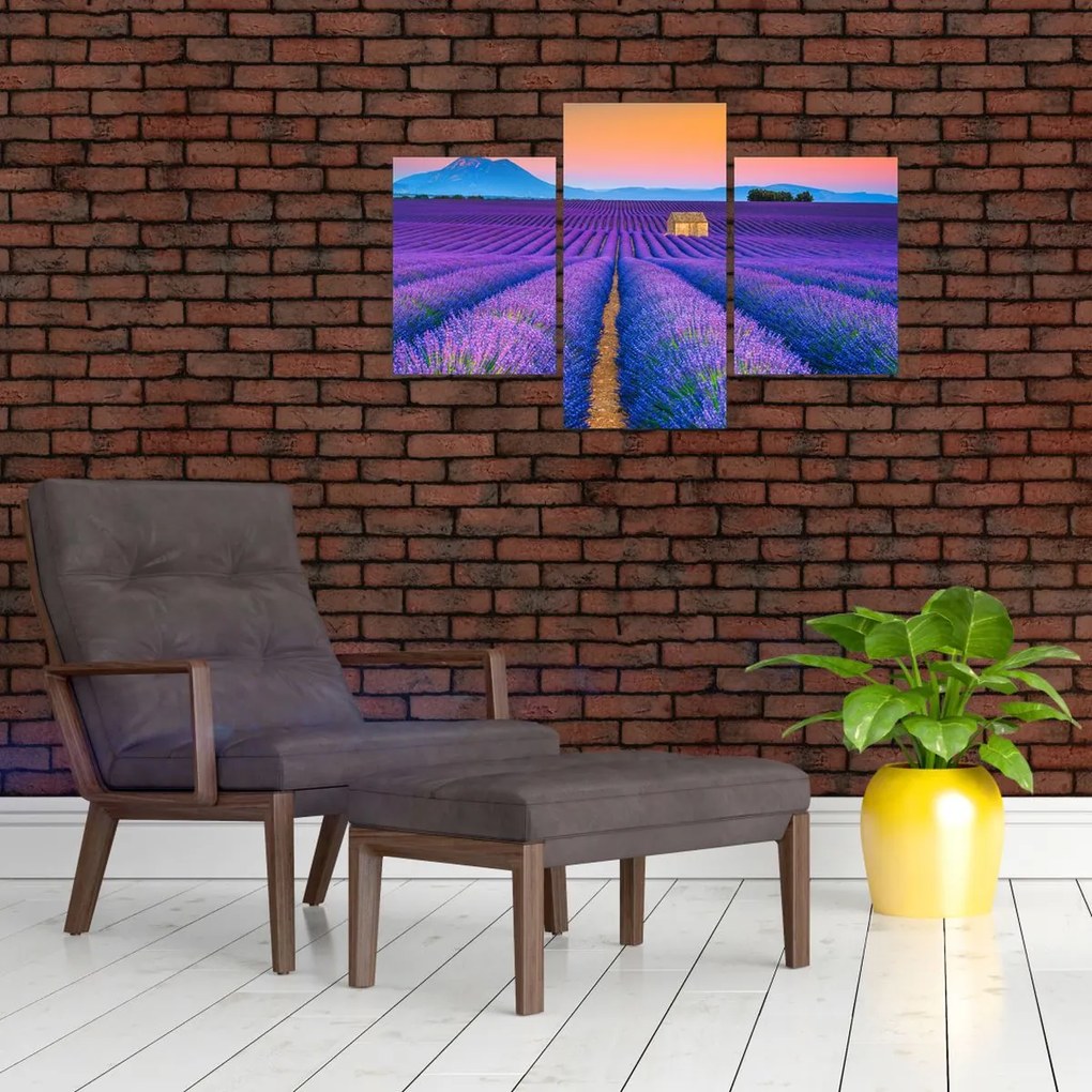 Tablou - Câmp de levănțica (90x60 cm)