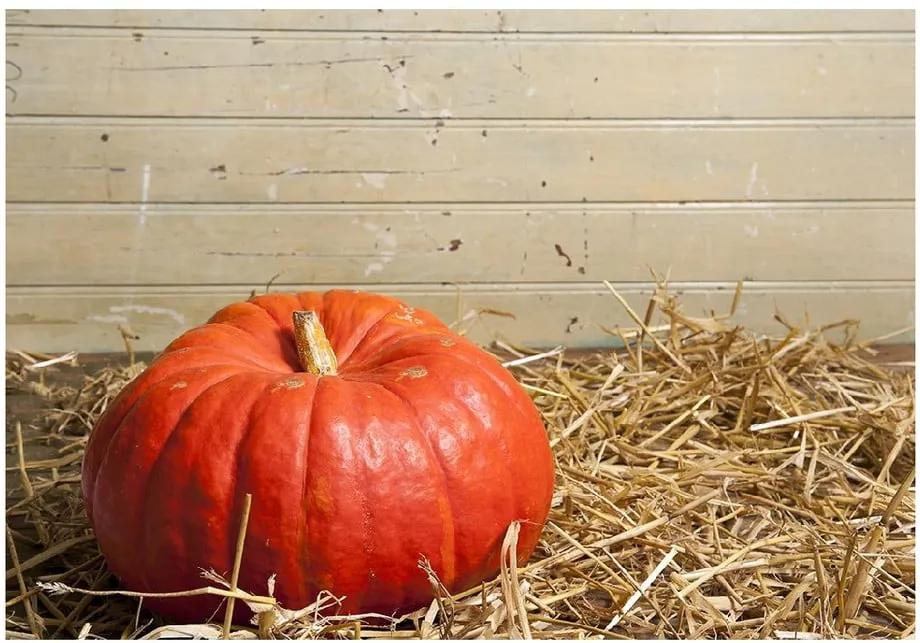 Covoraș Pumpkin, 52 x 75 cm