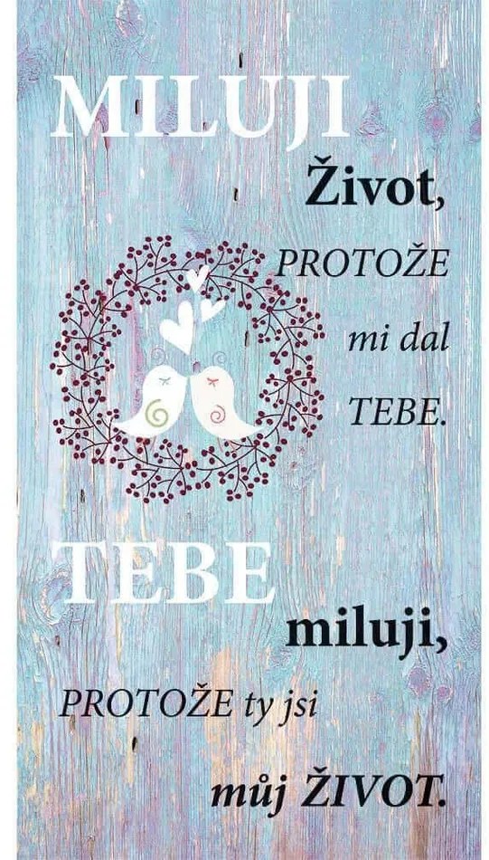 Tablou decorativ Bohemia Gifts Iubesc viața , 20x 40 cm