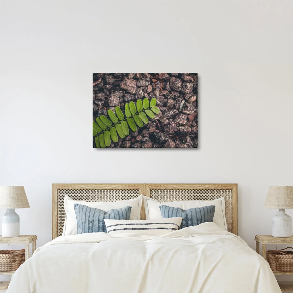 Tablou cu planta verde (70x50 cm)