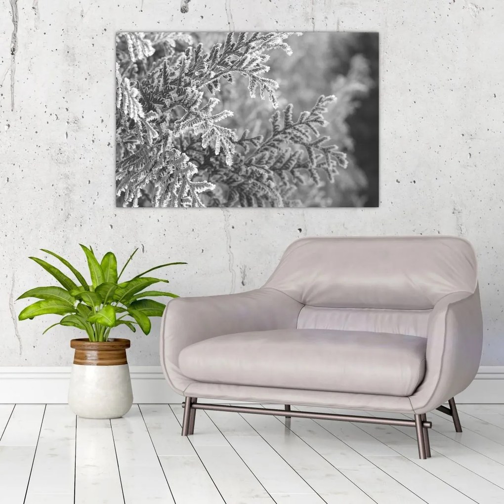 Tablou - Pădure de molid (90x60 cm)