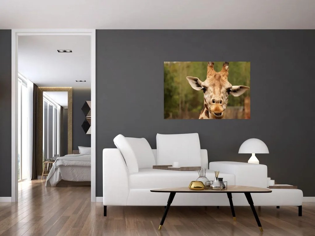 Tablou girafe (90x60 cm)