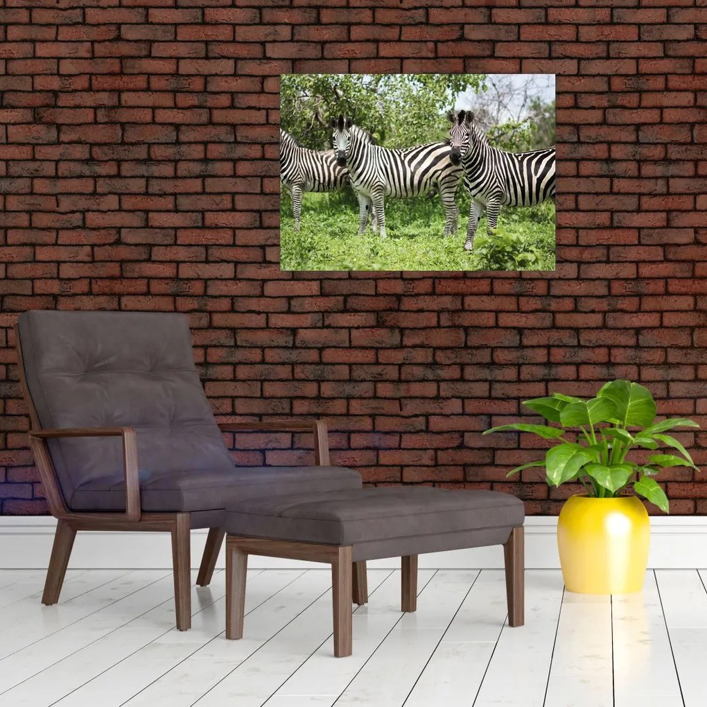 Tablou cu zebre (70x50 cm)