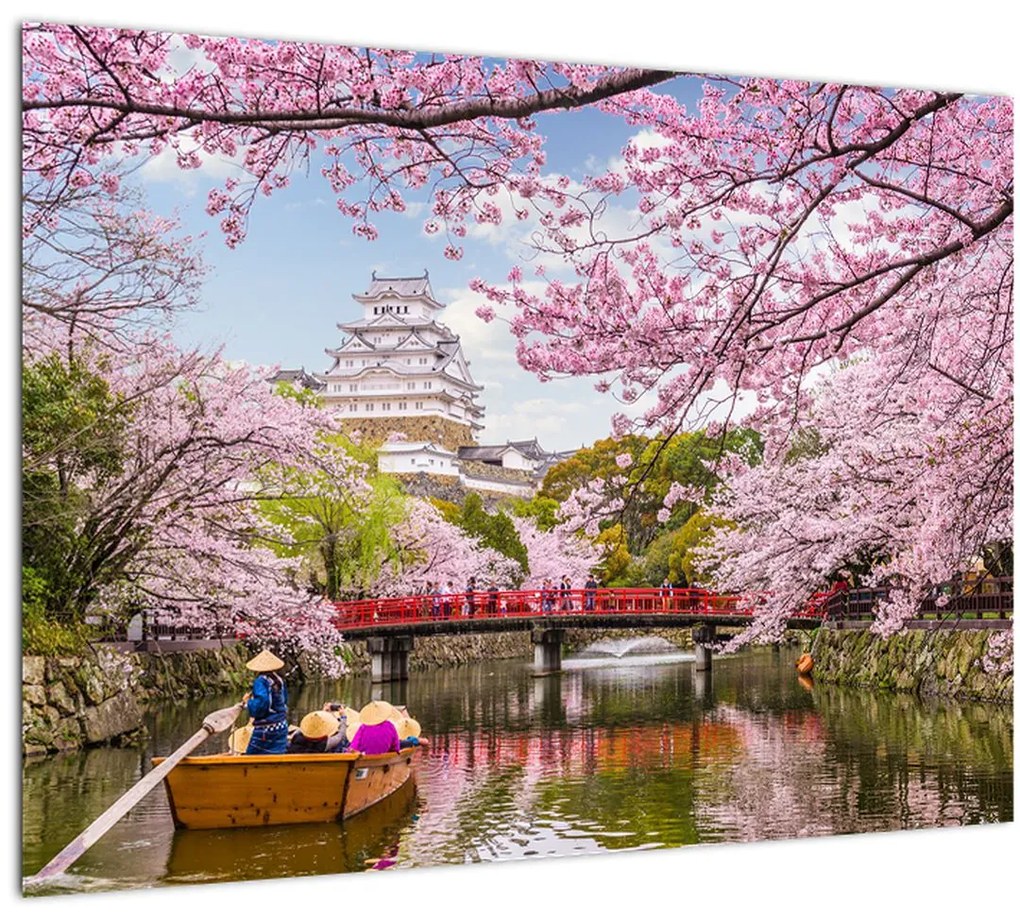 Tablou cu cireș japonez (70x50 cm)