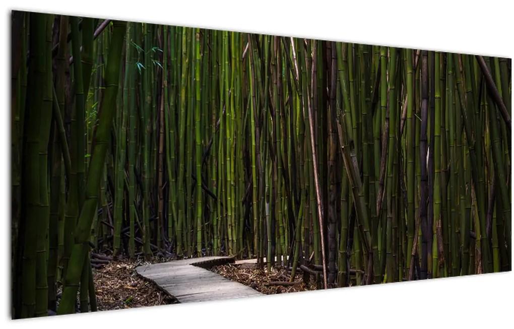 Tablou - Între bambus (120x50 cm), în 40 de alte dimensiuni noi