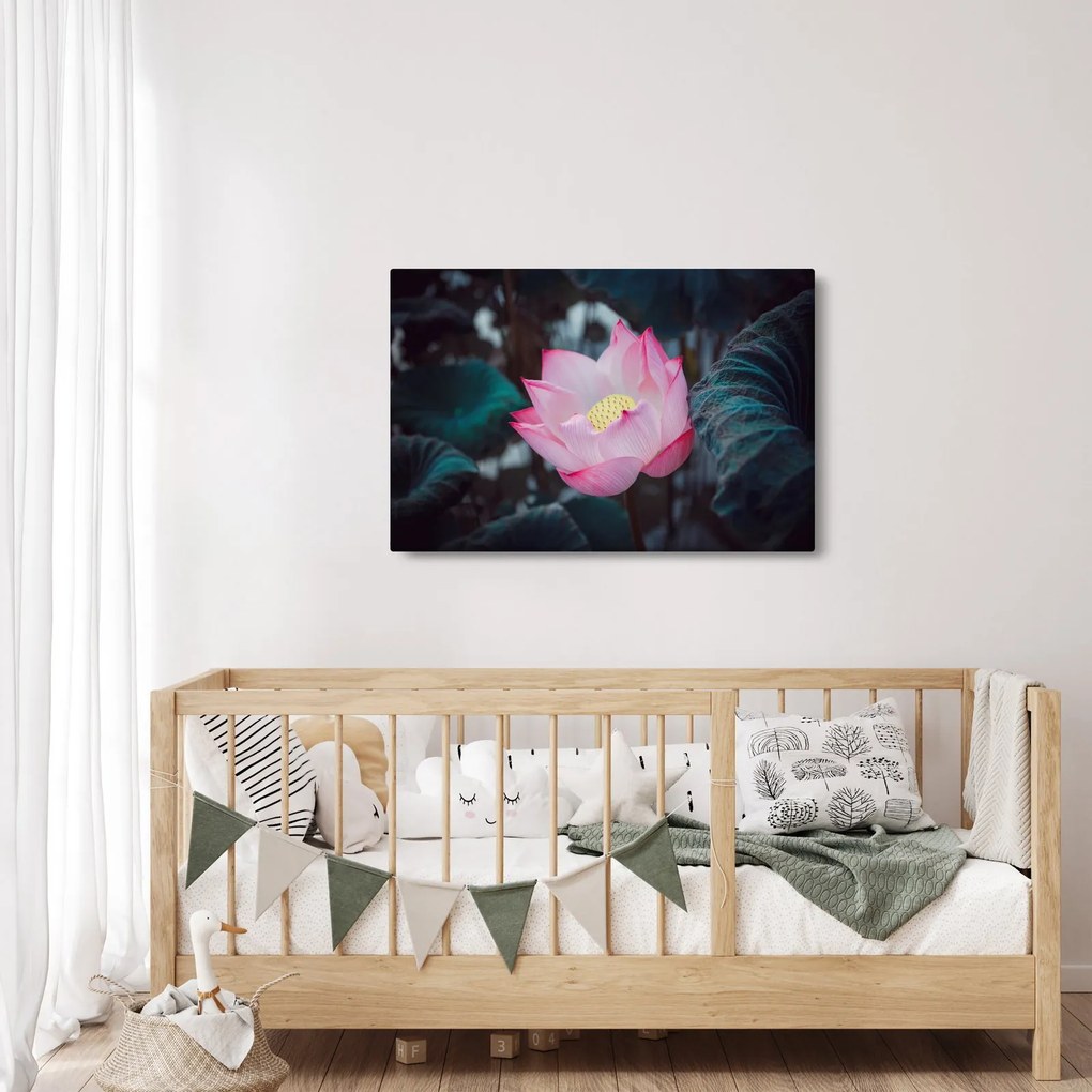 Tablou cu floare roz (90x60 cm)