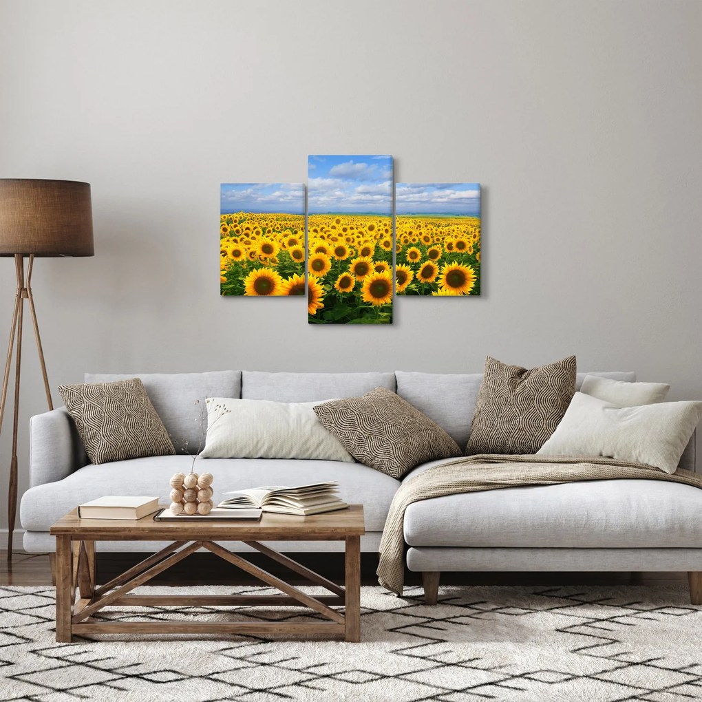 Tablou cu lan de floarea soarelui (90x60 cm)