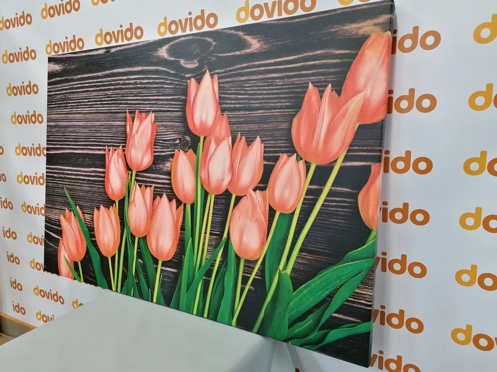 Tablou lalele portocalii fermecătoare pe fundal de lemn