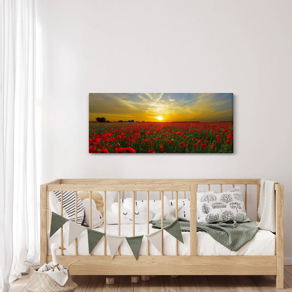 Tablou cu câmp cu maci (120x50 cm)