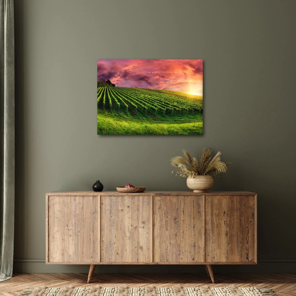 Tablou cu vie cu cerul color (70x50 cm)