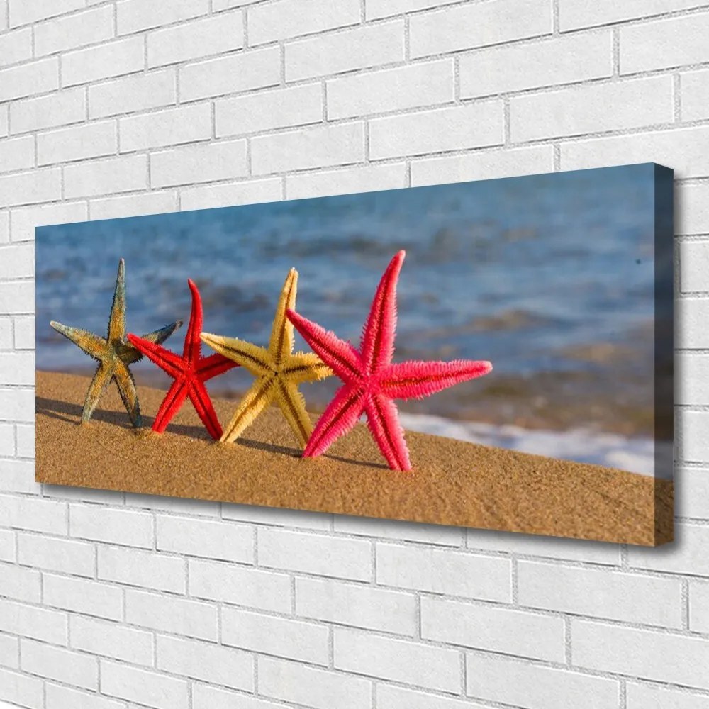 Tablou pe panza canvas Plaja Starfish Art Multi