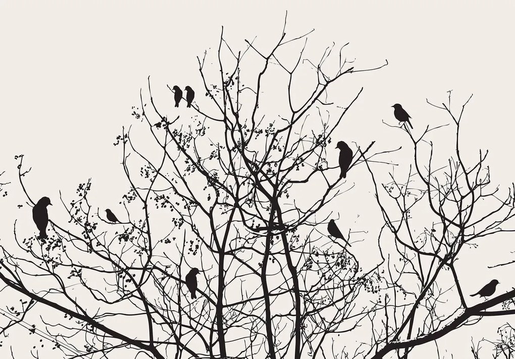 Fototapet - Copac (152,5x104 cm)
