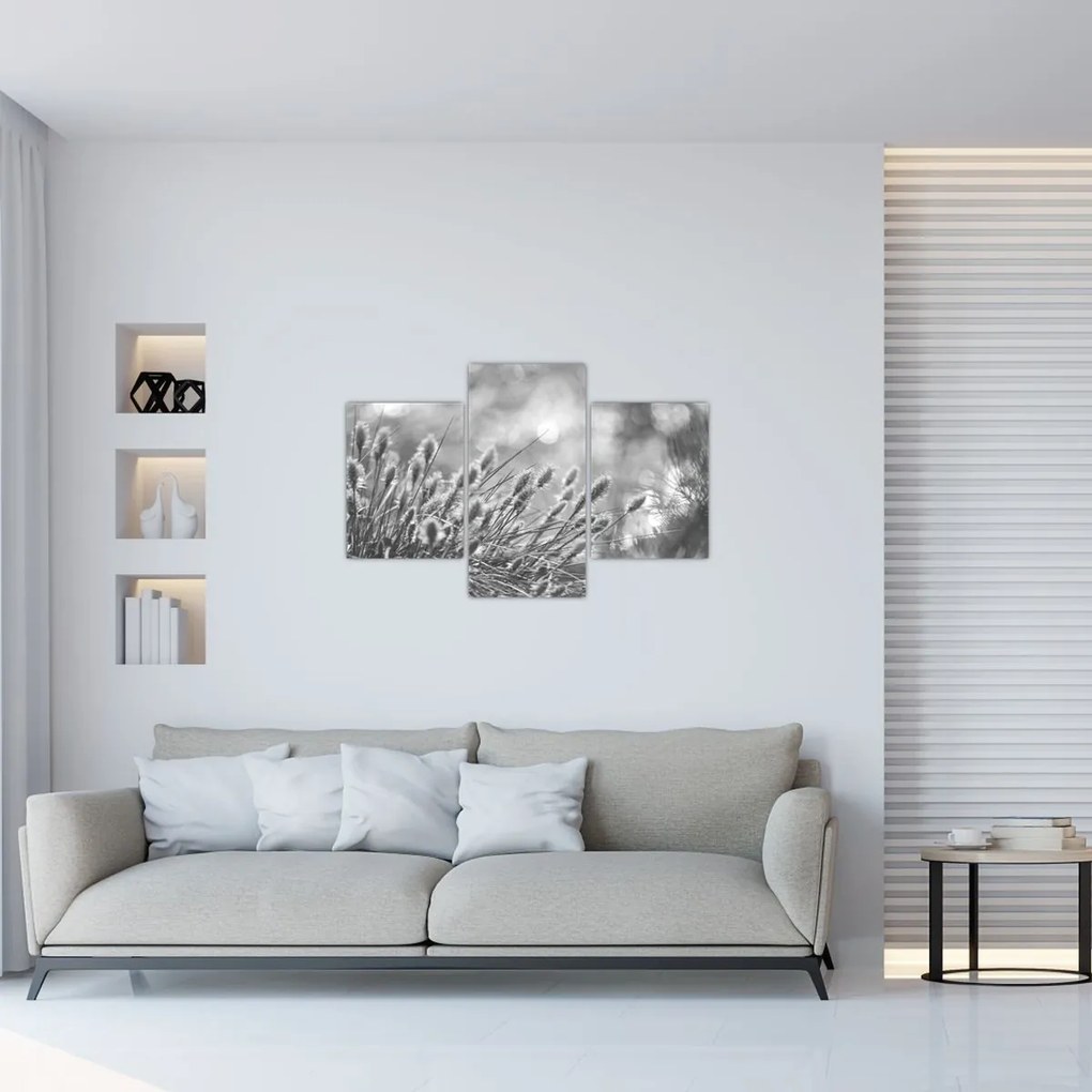 Tablou - Iarbă moale bej N⁰1 (90x60 cm)